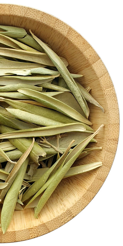 Olive Leaf