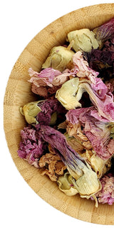 Purple Hollyhock - Mallow