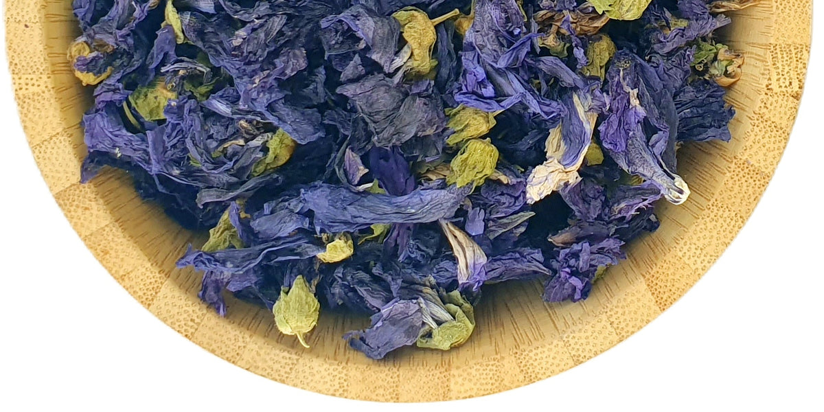 Blue Mallow - Wild Mallow