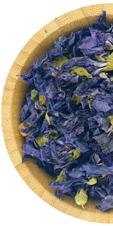 Blue Mallow - Wild Mallow