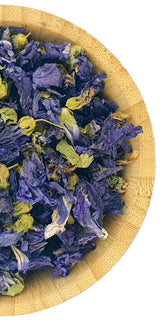 Blue Mallow - Wild Mallow
