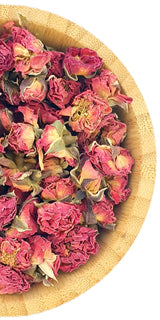Rose Flowers Corolla Red