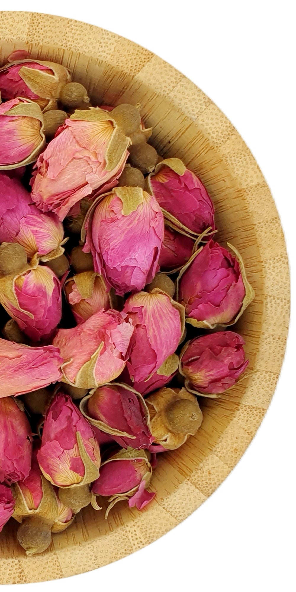 Dark Pink Rose Buds Large