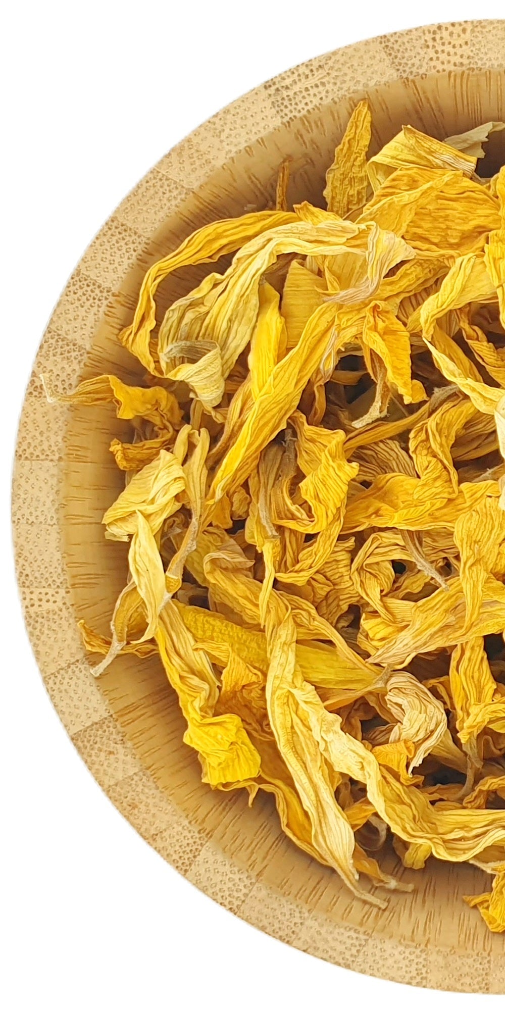 Sunflower Petals