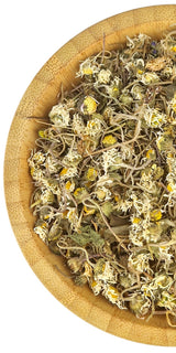 Daisy Flowers