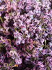Light Lilac Flowers - Limited Quantity - Out of stock - HerbalMansion.com