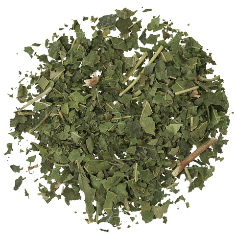 White Mulberry Leaf - Herbs - DGStoreUK.com