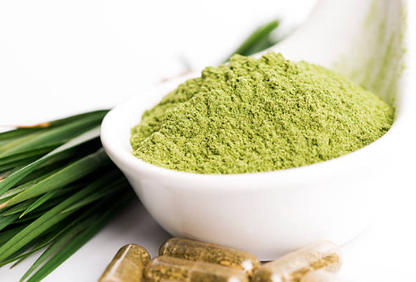 Young Barley Grass Powder - HerbalMansion.com