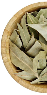 eucalyptus-leaves - Herbal Mansion