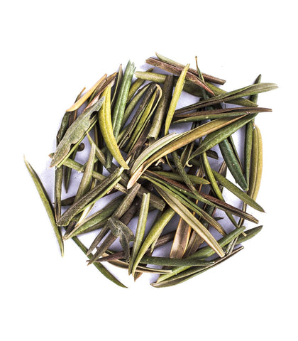 Olive Leaf - HerbalMansion.com