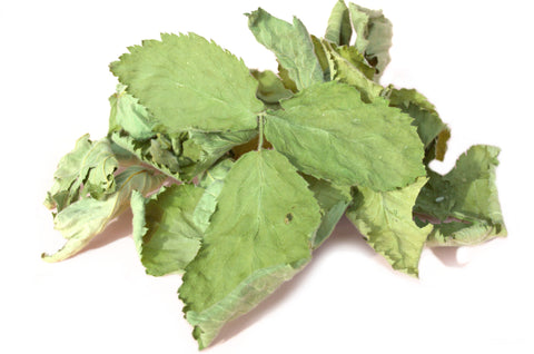 Blackberry Leaf - Limited Quantity - HerbalMansion.com
