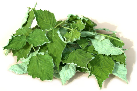 Raspberry Leaf - Limited Quantity - HerbalMansion.com