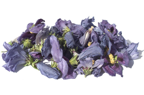 Blue Hibiscus Flowers - Limited Quantity - HerbalMansion.com
