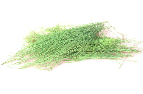 Whole Horsetail - Limited Quantity - HerbalMansion.com