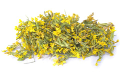 Primrose - Limited Quantity - HerbalMansion.com