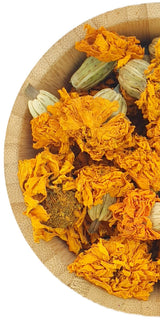 tagetes-french-marigold-flowers - Herbal Mansion