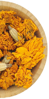 tagetes-french-marigold-flowers - Herbal Mansion