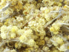 Life Everlasting Flowers / Helichrysum - HerbalMansion.com