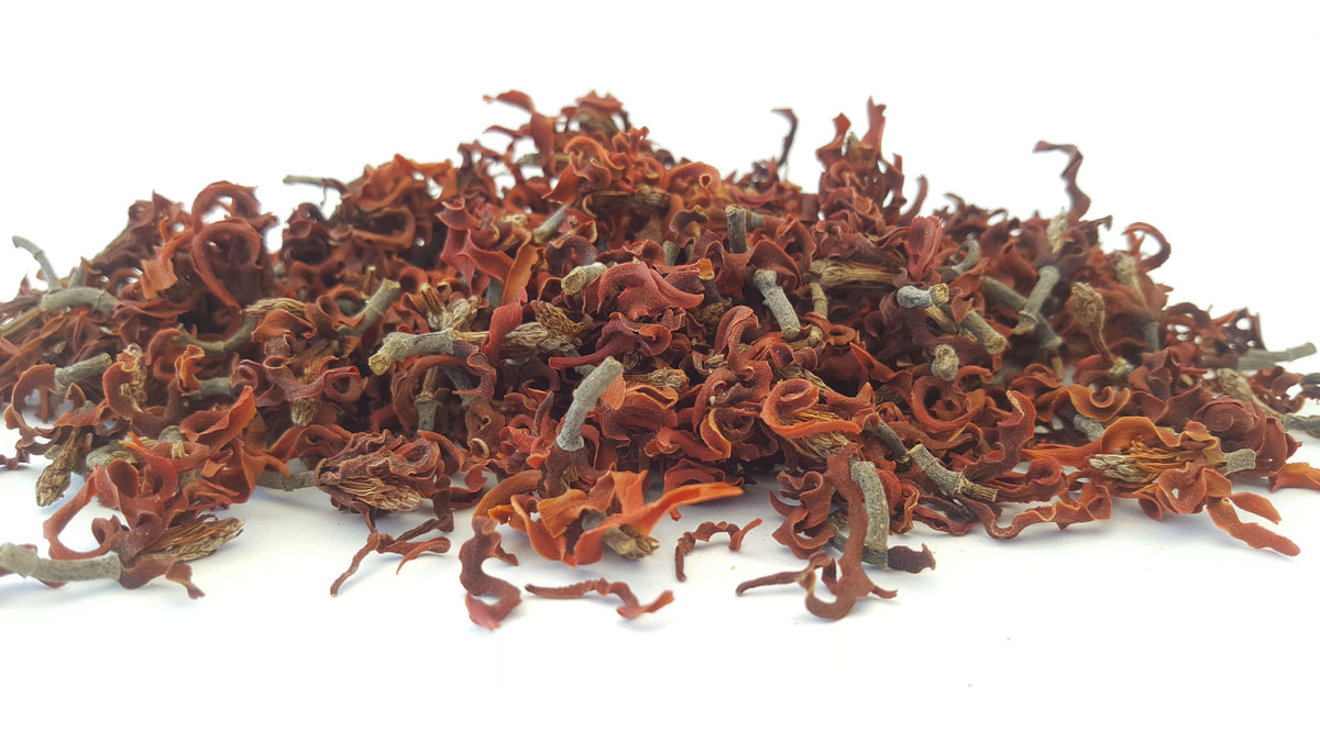 Magnolia Flowers - HerbalMansion.com