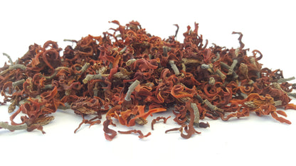 Magnolia Flowers - HerbalMansion.com