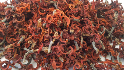Magnolia Flowers - HerbalMansion.com