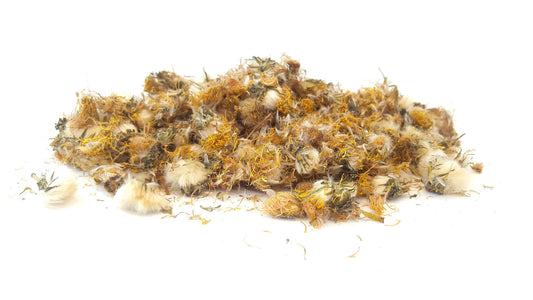 Dandelion Flowers - HerbalMansion.com