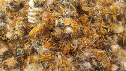 Dandelion Flowers - HerbalMansion.com