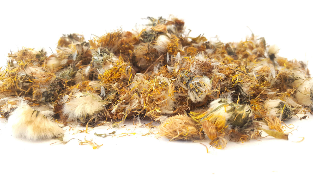 Dandelion Flowers - HerbalMansion.com