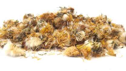 Dandelion Flowers - HerbalMansion.com