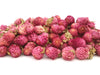 Gomphrena Flowers - Table Confetti - HerbalMansion.com