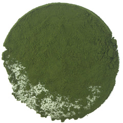 Chlorella Powder - HerbalMansion.com