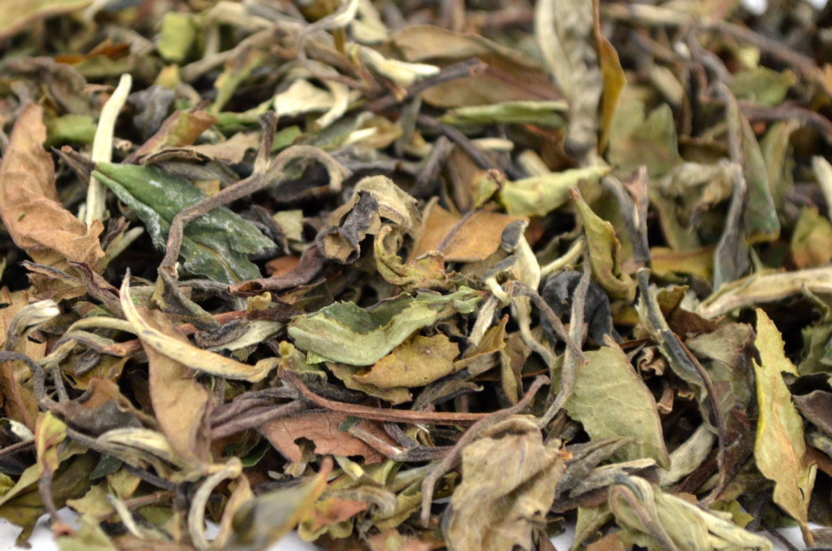 Pai Mu Tan (Bai Mu dan) White Tea - HerbalMansion.com