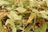 Linden Flowers / Lime Flowers - HerbalMansion.com