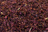 Purple Cornflower Petals - HerbalMansion.com
