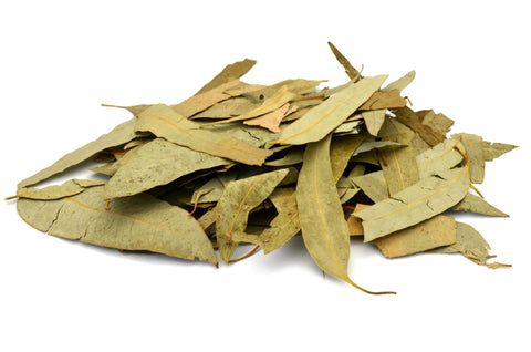 Eucalyptus Leaves - HerbalMansion.com