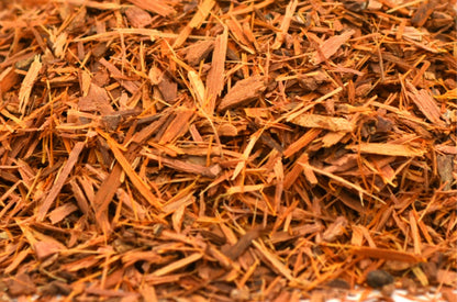 Catuaba Bark - HerbalMansion.com