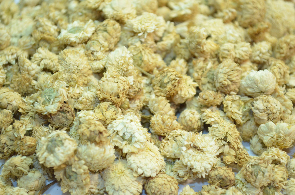 Roman Chamomile - HerbalMansion.com