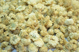 Roman Chamomile - HerbalMansion.com