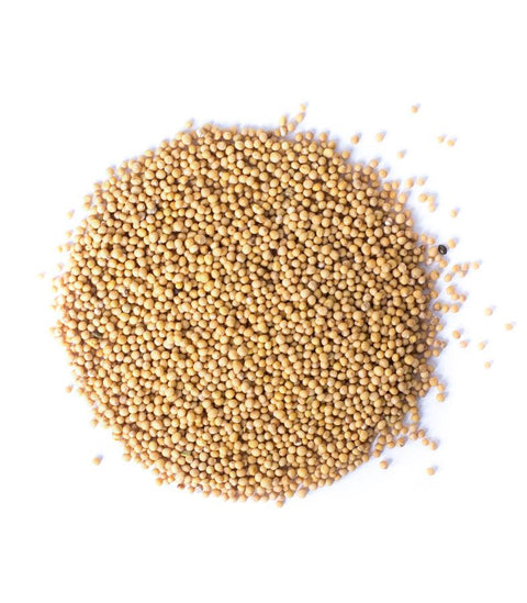 White Mustard Seeds - HerbalMansion.com