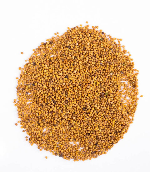 Yellow Mustard Seeds - HerbalMansion.com