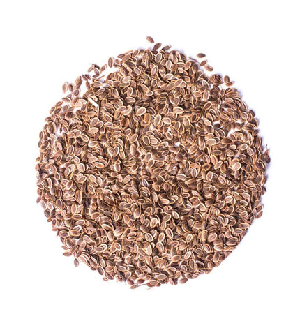 Dill Seeds - HerbalMansion.com