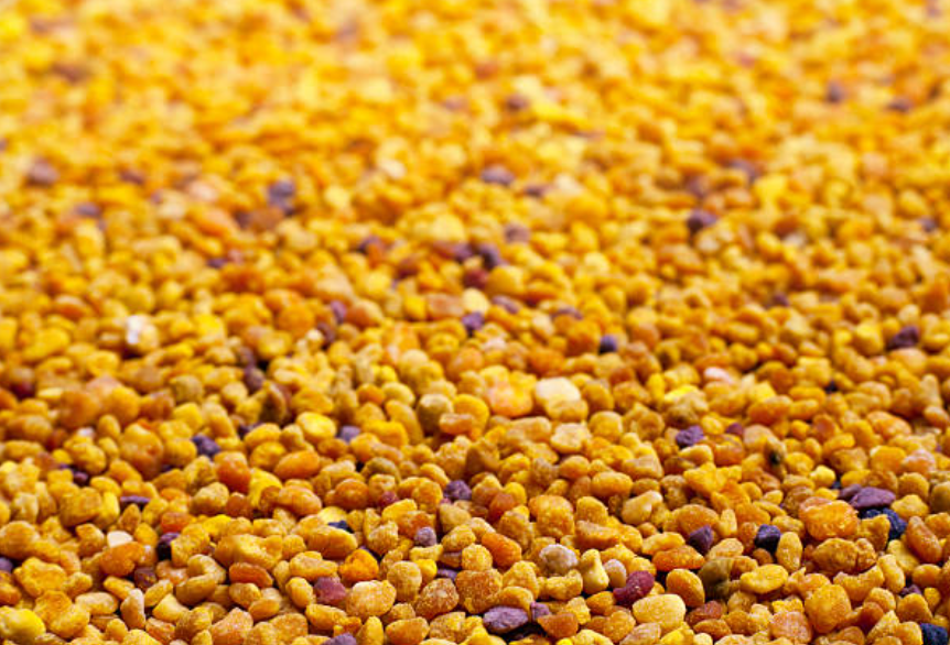 Bee Pollen - Superfoods - HerbalMansion.com
