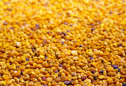Bee Pollen - Superfoods - HerbalMansion.com