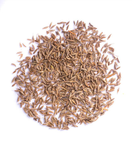 Cumin Seeds - HerbalMansion.com