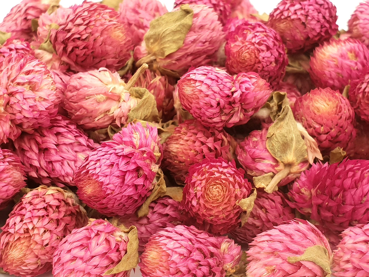 Gomphrena Natural Confetti - HerbalMansion.com