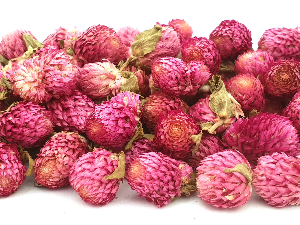 Gomphrena Natural Confetti - HerbalMansion.com