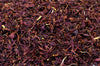 Purple Cornflower Natural Confetti - HerbalMansion.com