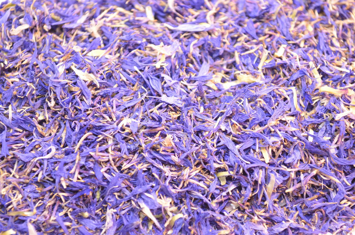 Blue Cornflower Natural Confetti - HerbalMansion.com