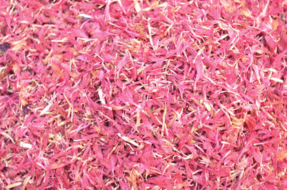 Pink Cornflower Natural Confetti - HerbalMansion.com