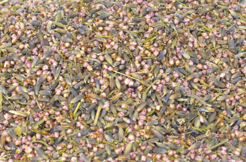 Wedding Confetti Mix No. 16 "Meadow Whispers" - HerbalMansion.com